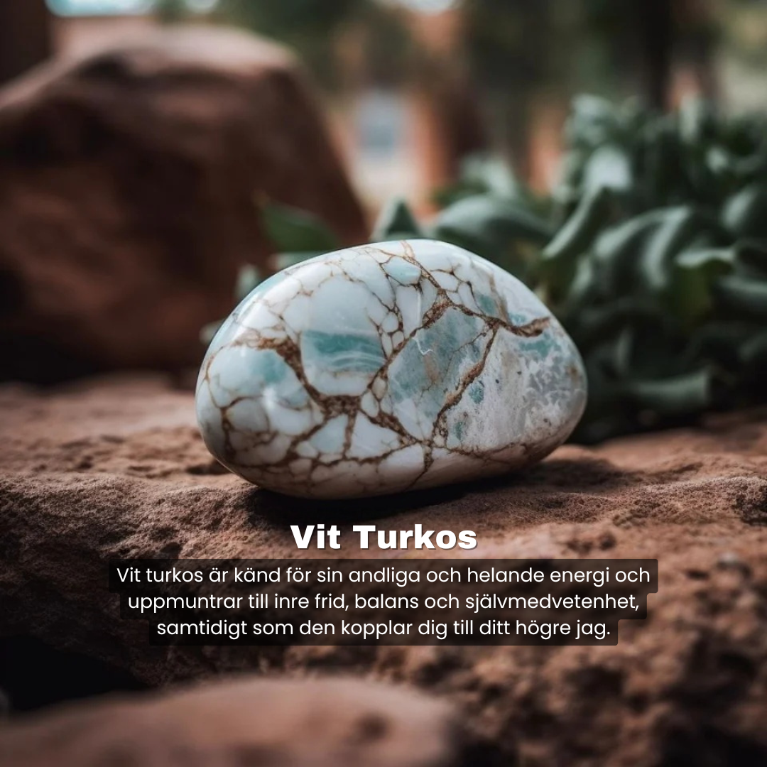 Vit Turkos - Armband